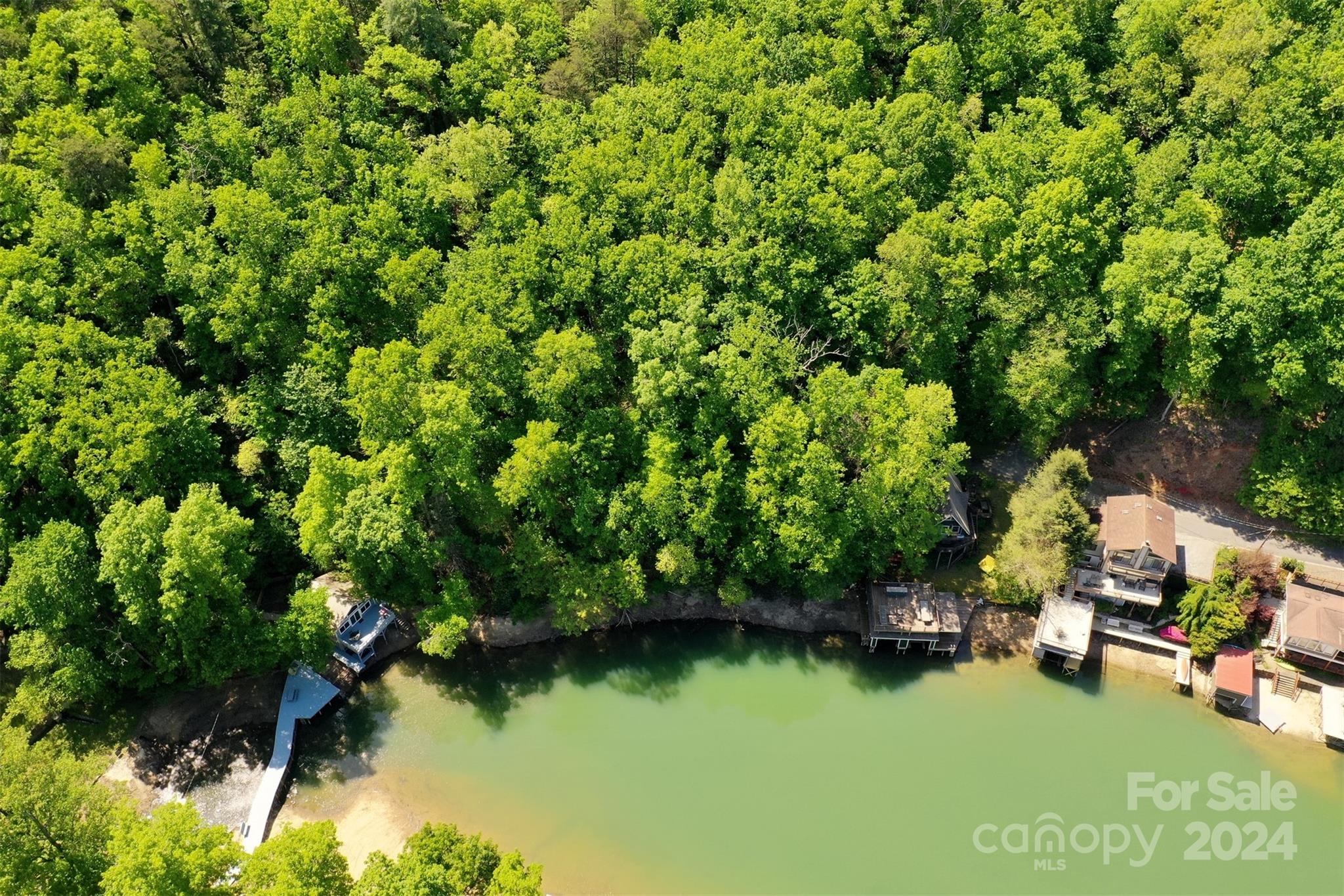 0 Buffalo Shoals Road Lake Lure, NC 28746 - Photo 5 of 13