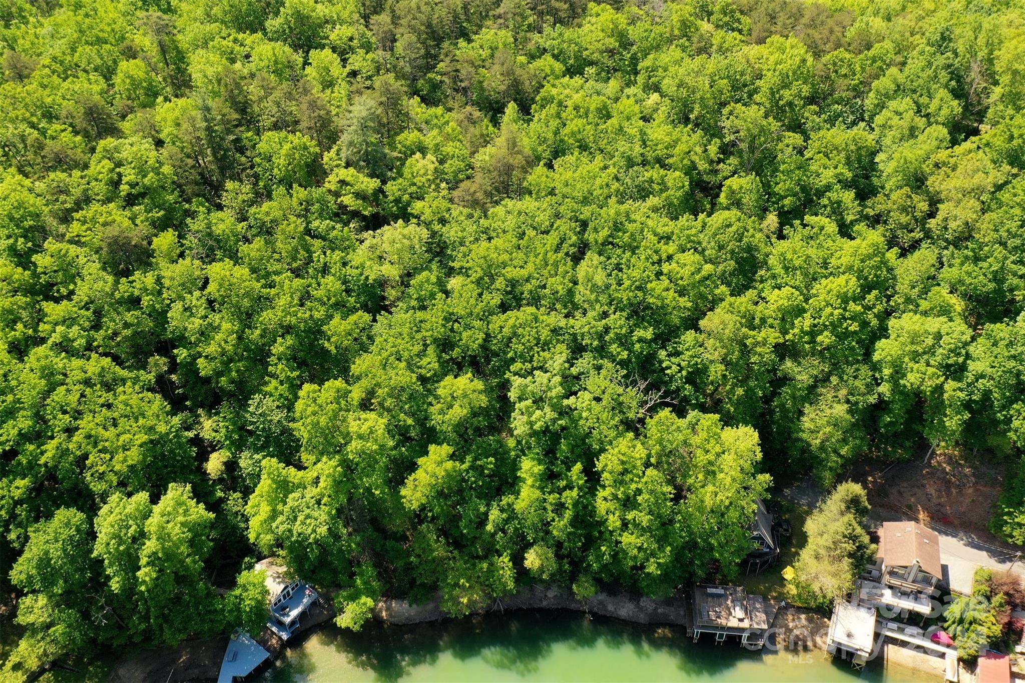 0 Buffalo Shoals Road Lake Lure, NC 28746 - Photo 6 of 13