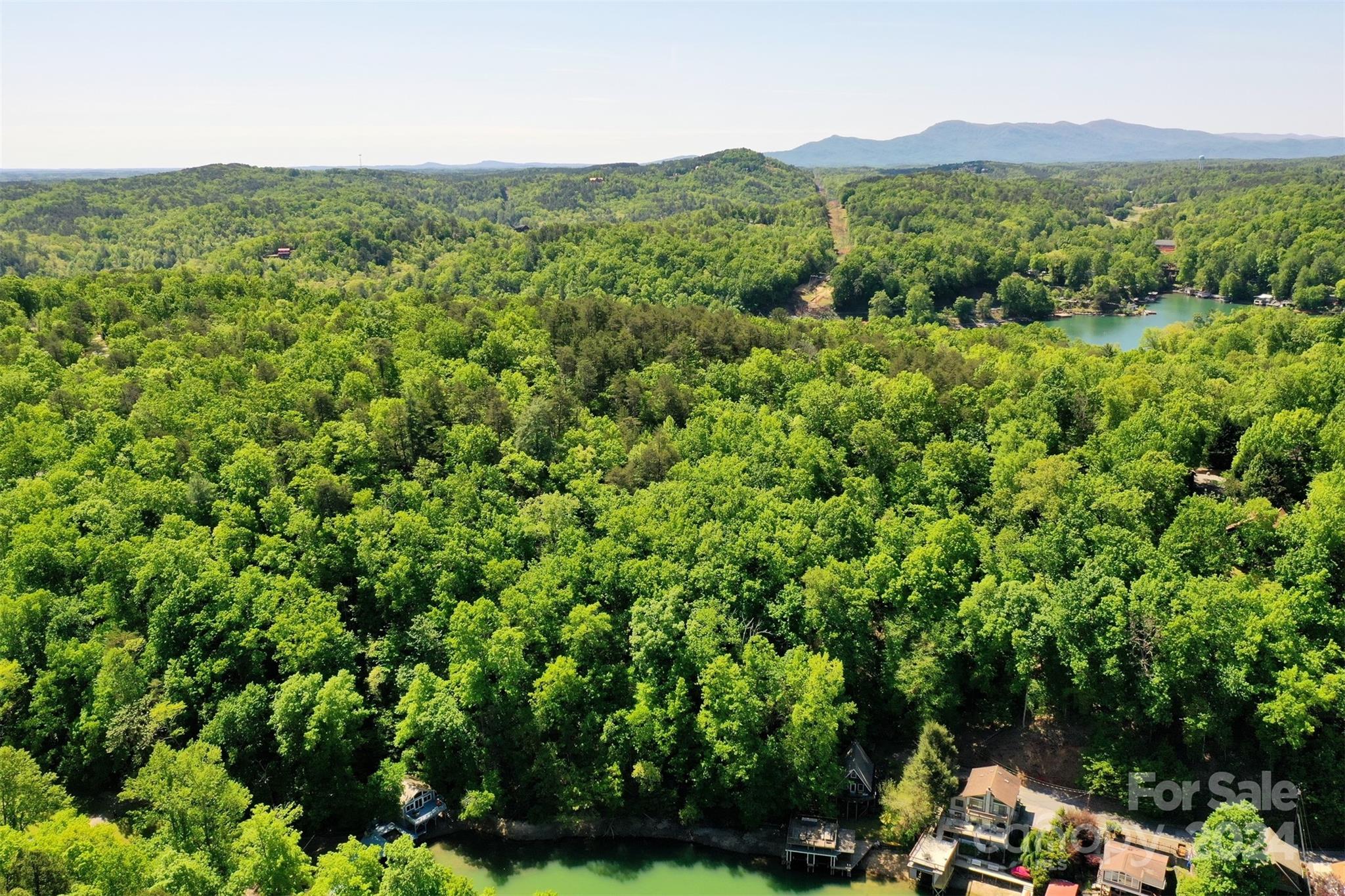0 Buffalo Shoals Road Lake Lure, NC 28746 - Photo 7 of 13