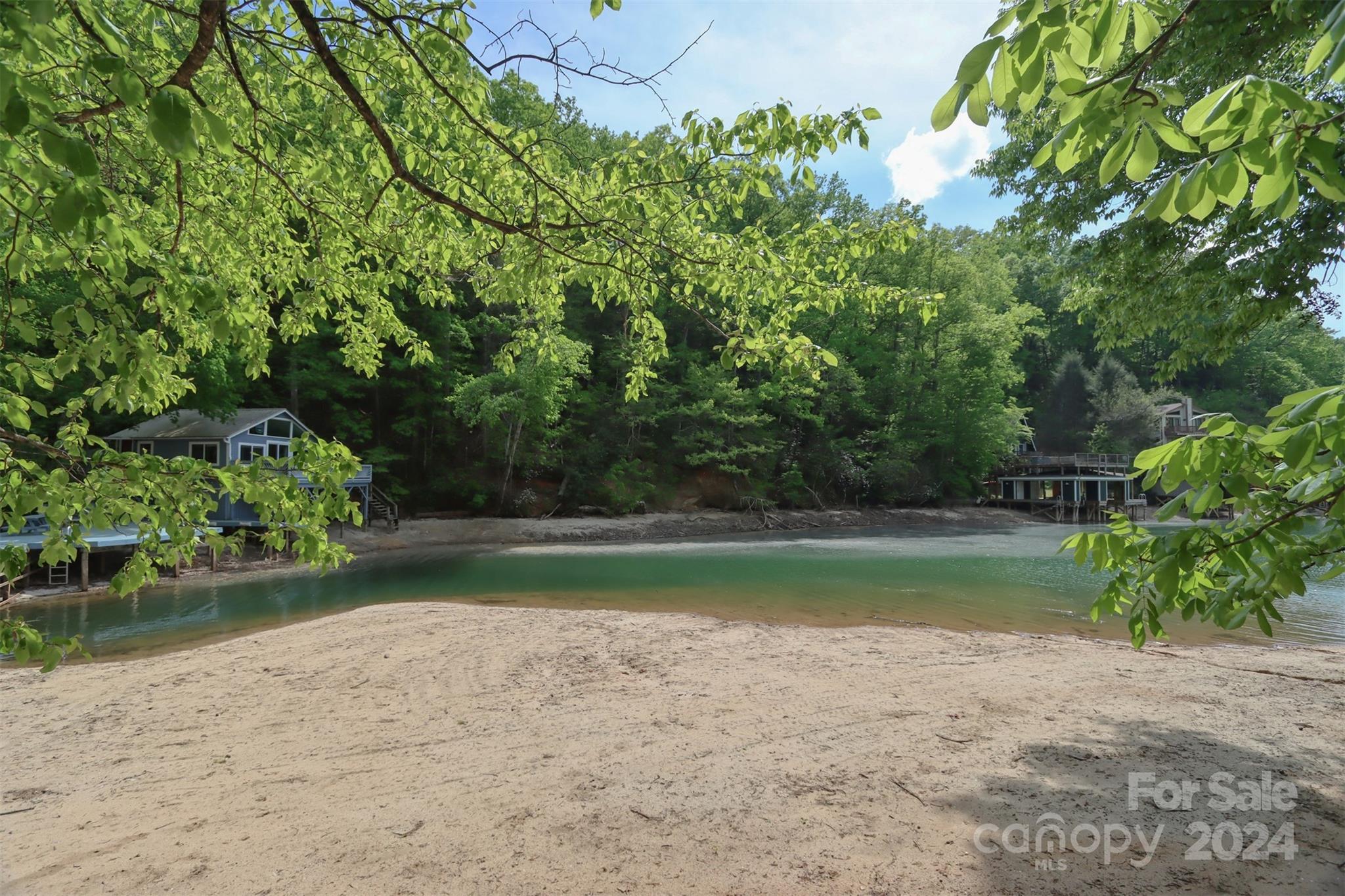 0 Buffalo Shoals Road Lake Lure, NC 28746 - Photo 8 of 13
