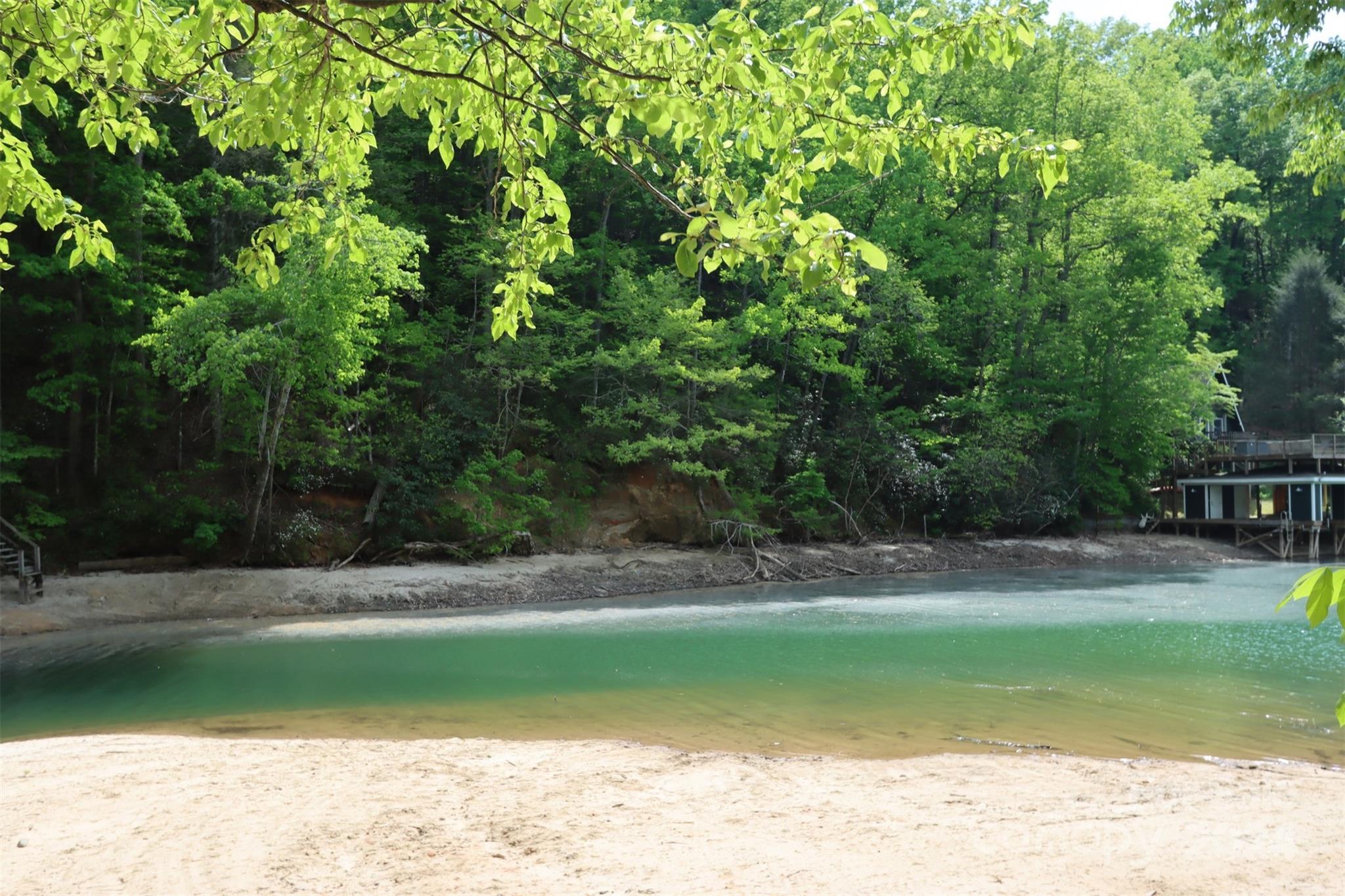 0 Buffalo Shoals Road Lake Lure, NC 28746 - Photo 9 of 13
