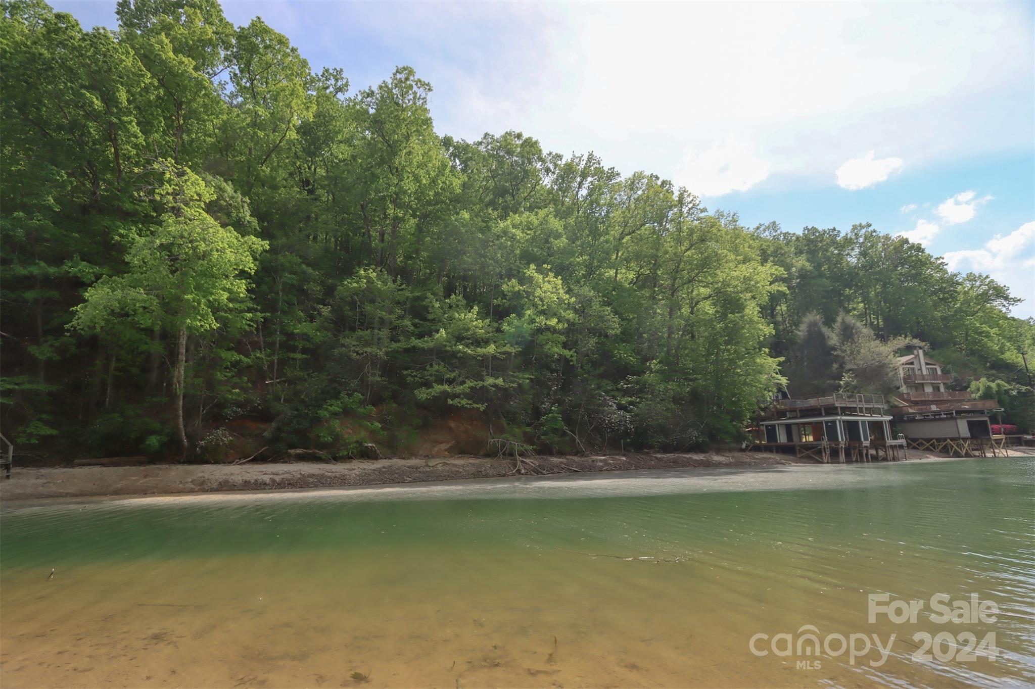 0 Buffalo Shoals Road Lake Lure, NC 28746 - Photo 10 of 13