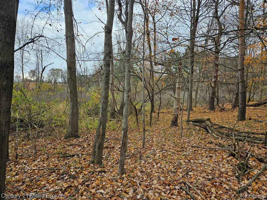 4153 North Lake Road Columbiaville, MI 48421 - Photo 47 of 61 Gallery Image 47