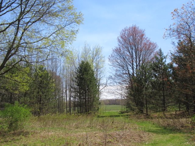 6080 North Merritt Road Merritt, MI 49667 - Photo 33 of 33 1832018-32.JPG