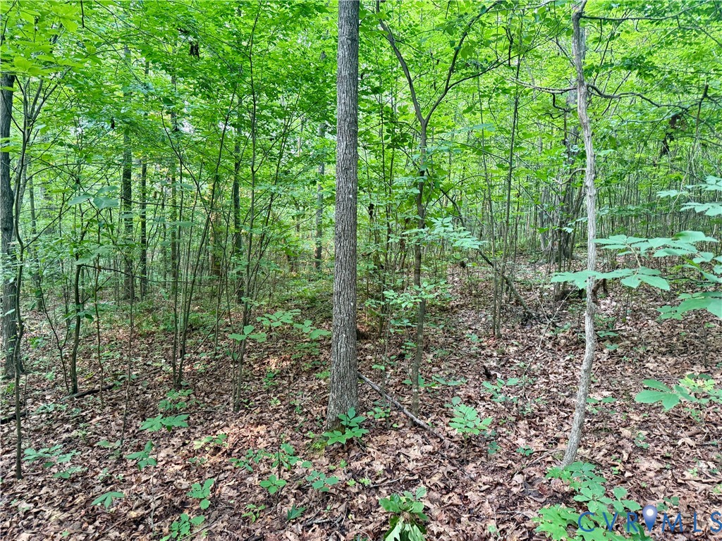 0 Liberty Chapel Road Appomattox, VA 24522 - Photo 14 of 57