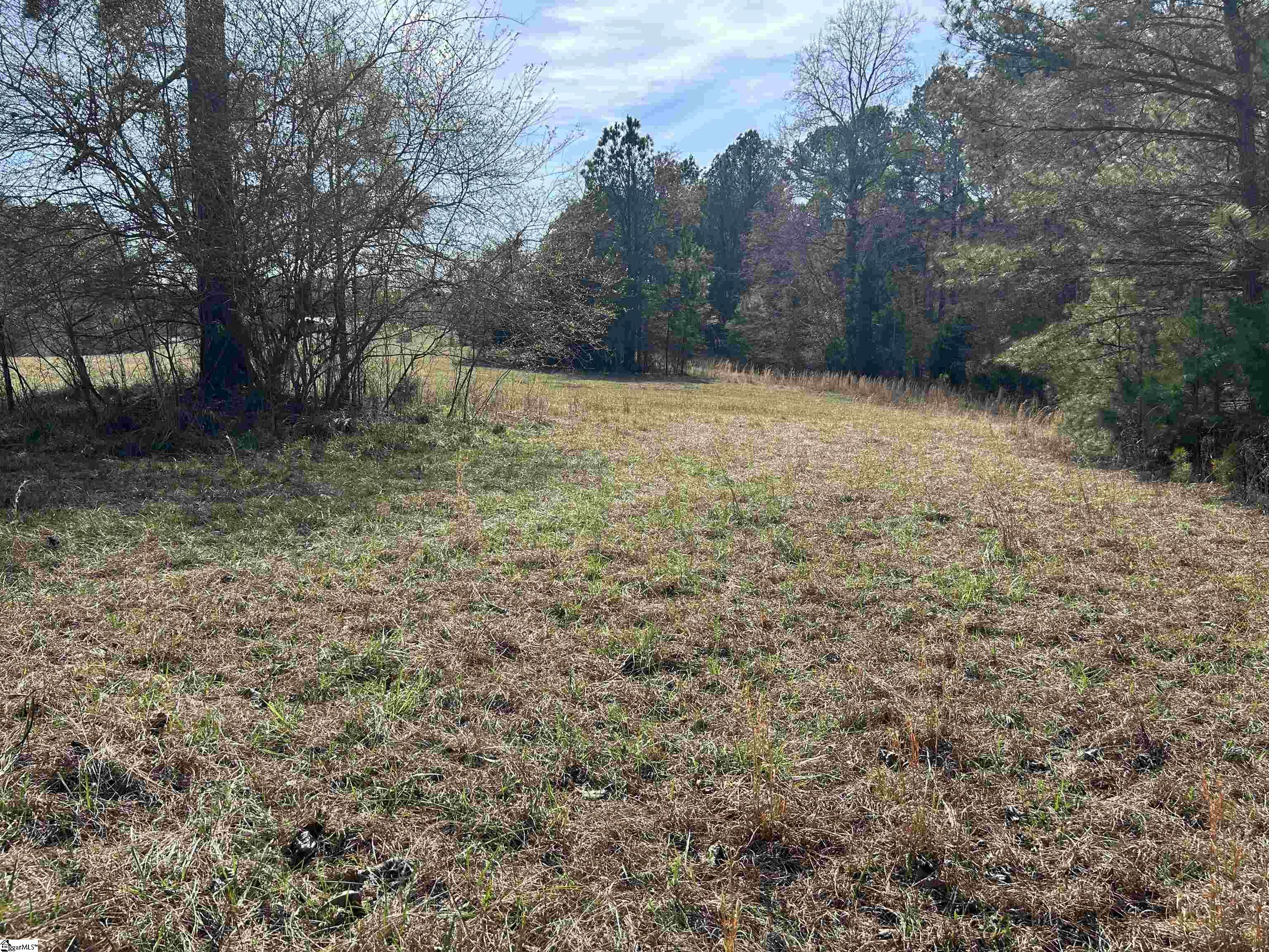 0 Old Goldmine Road Troy, SC 29848 - Photo 12 of 16