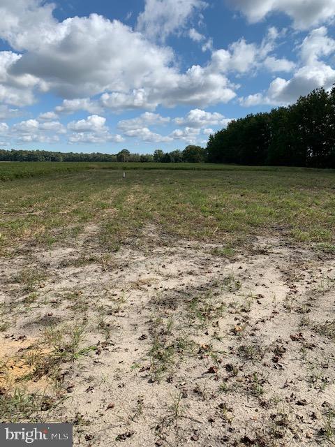 Kibler Road Greensboro, MD 21639 - Photo 1 of 1