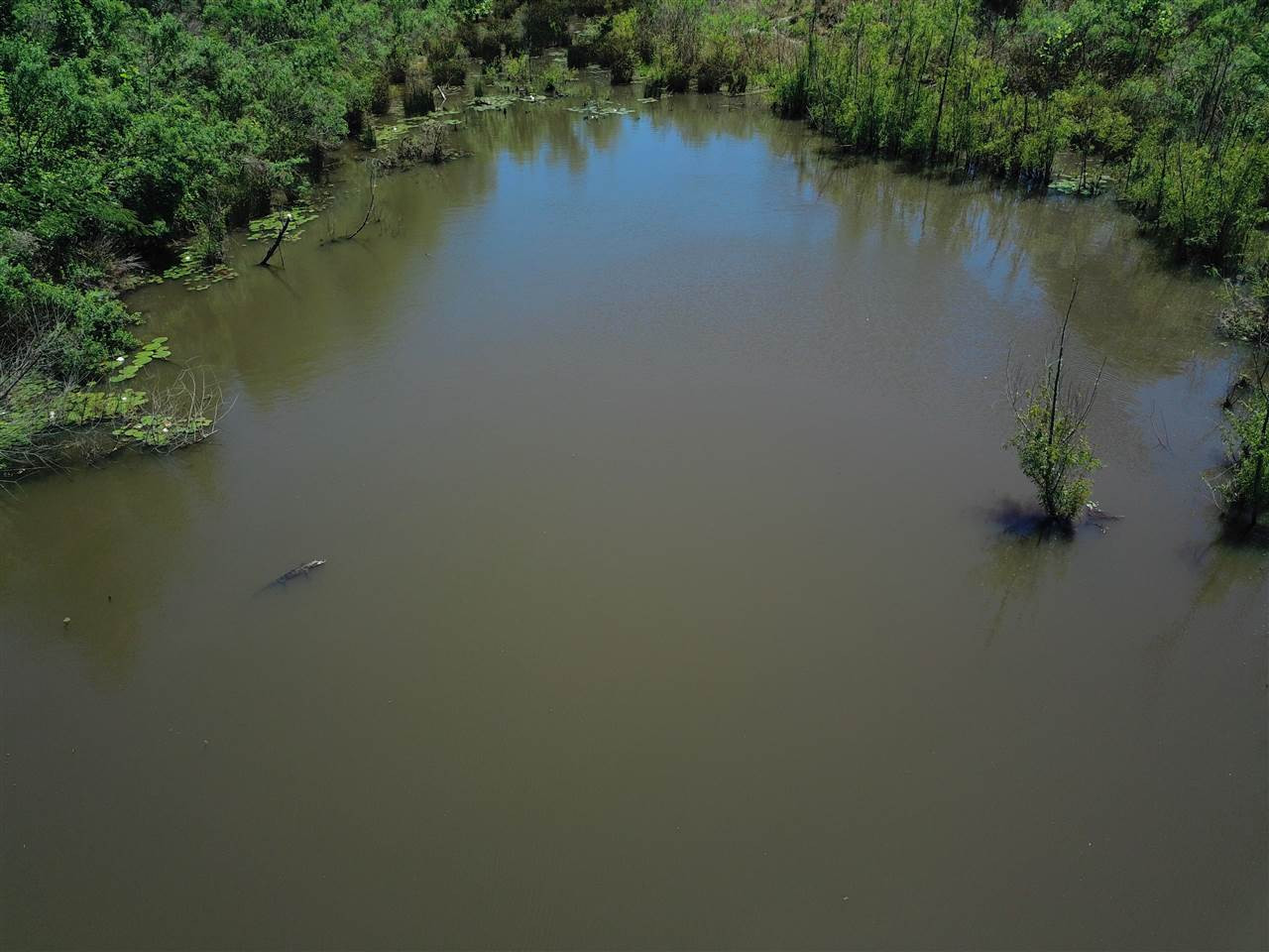 3390 Clubhouse Road, Unit LOT 5 Utica, MS 39175 - Photo 8 of 17 Photo 8