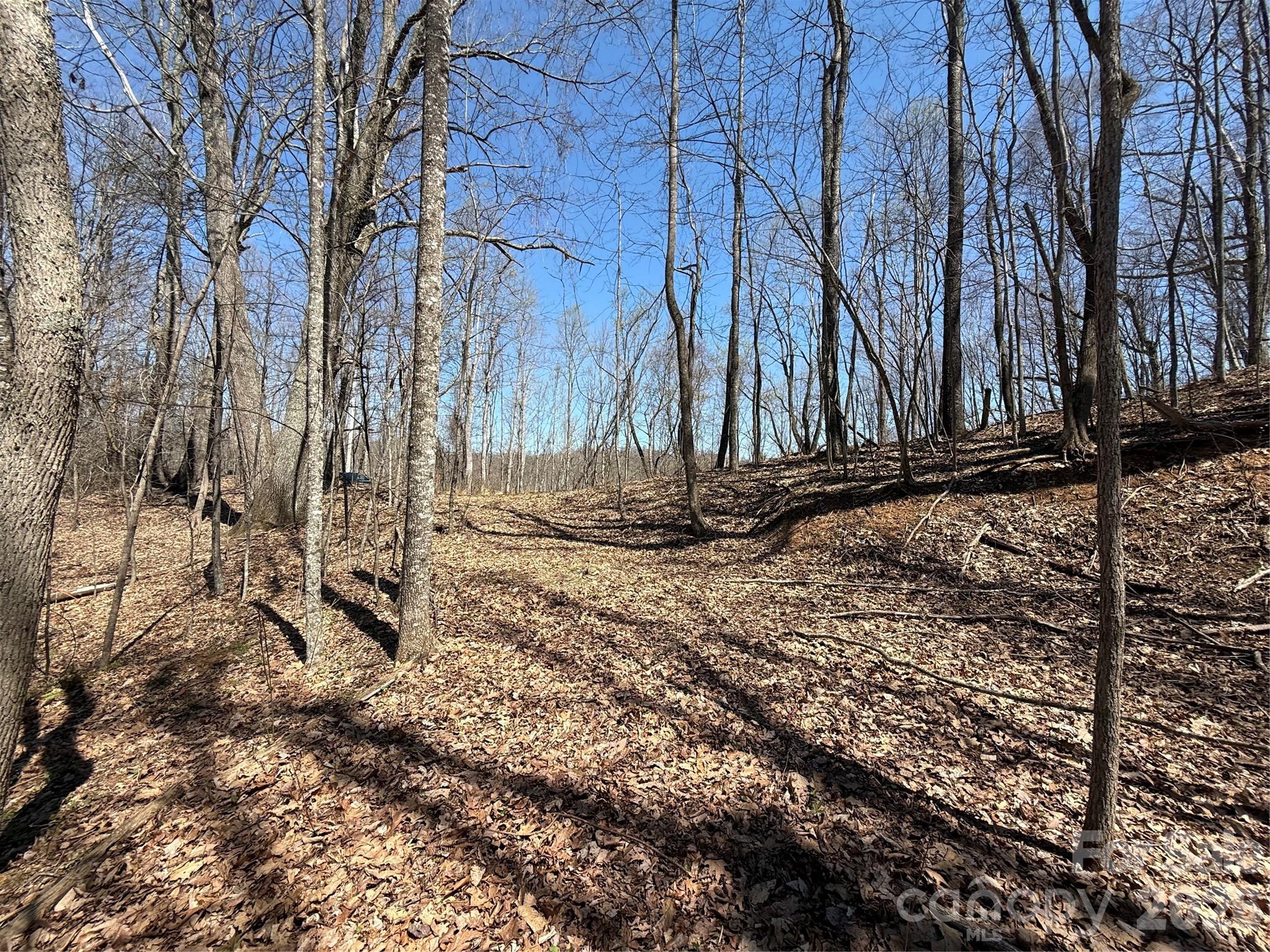 0 Granny Shepherd Road, Unit LOT 2 Mars Hill, NC 28754 - Photo 6 of 22