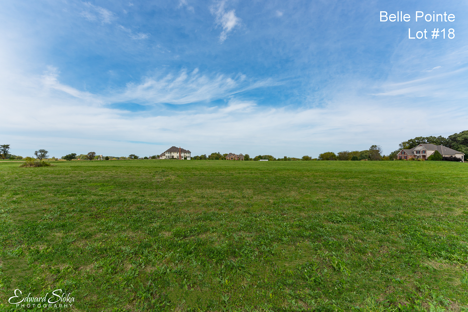 9617 Mels Way Union, IL 60180 - Photo 3 of 5 an aerial view of residential houses with outdoor space