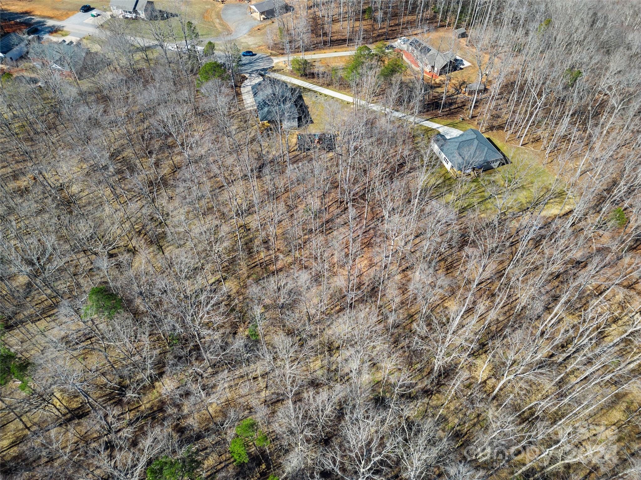 218 Rambler Lane Blacksburg, SC 29702 - Photo 42 of 42 a view of a yard with a dry yard