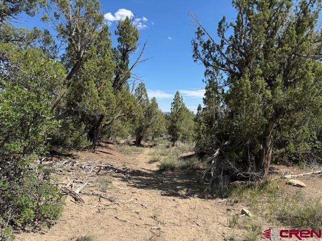2519 Green Shadows Road Durango, CO 81303 - Photo 12 of 15 Gallery Image 12