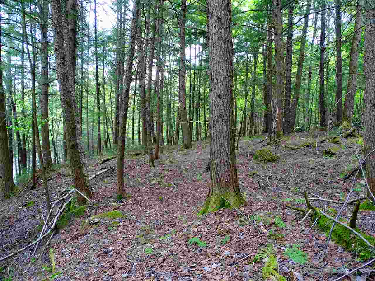 356 Belle Vista Road Troy, VT 05859 - Photo 33 of 39 Gallery Image 33