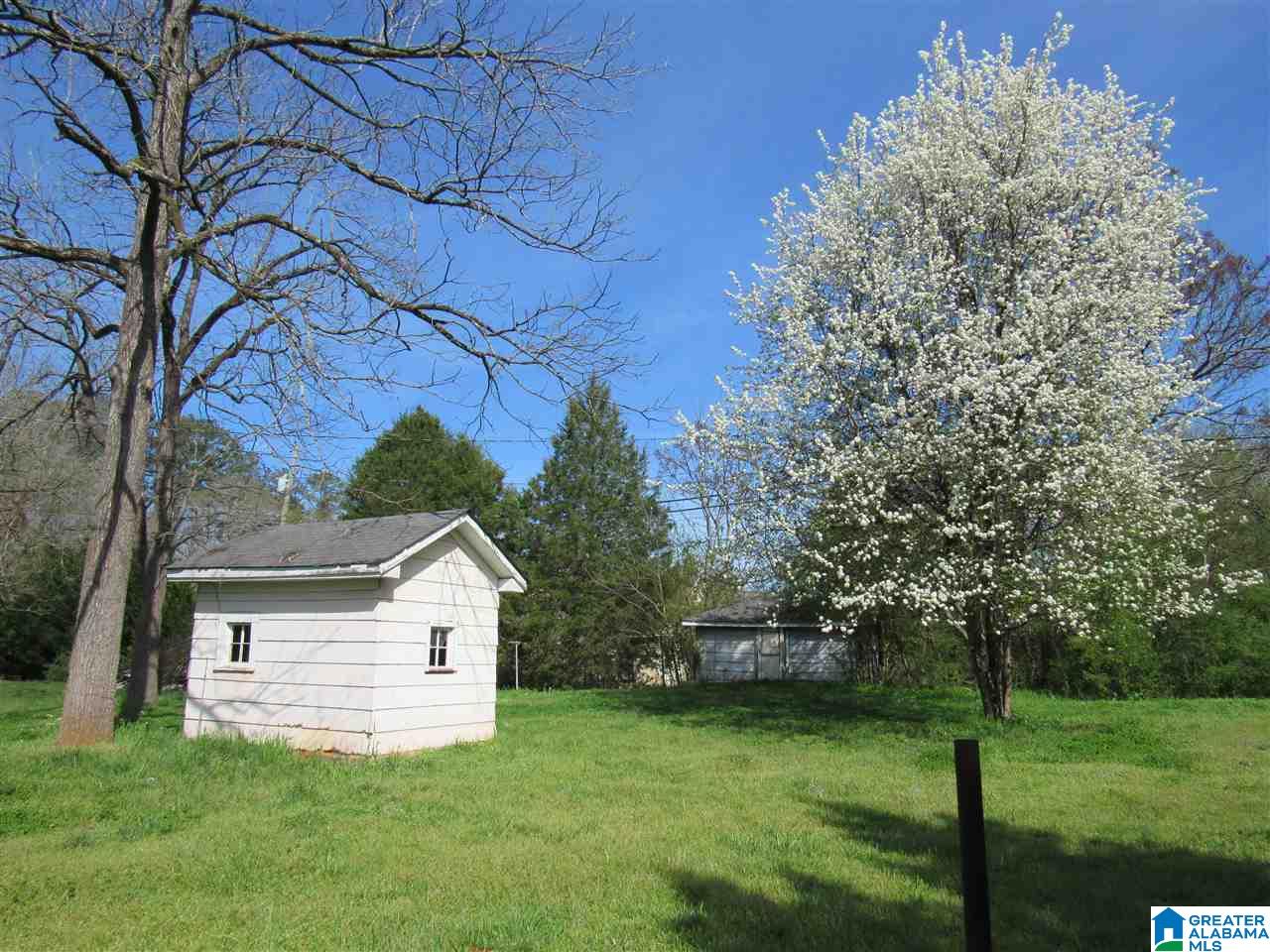 554 Roberts Street Wadley, AL 36276 - Photo 6 of 20