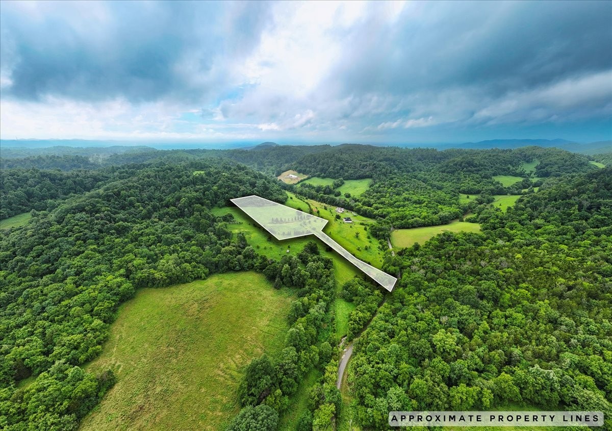 a view of a yard with an outdoor seating