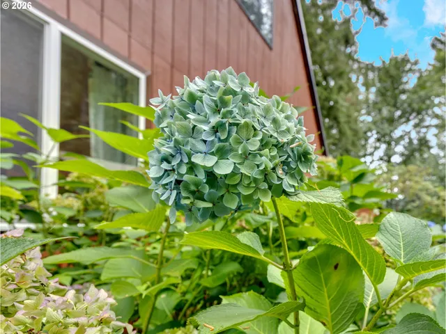 $599,950 | 58610 Highway 26, Sandy, OR 97055