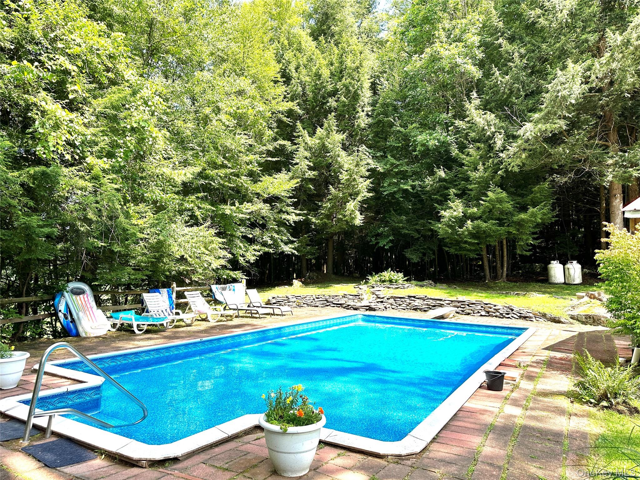 12 Mesmer Hill Road Callicoon, NY 12723 - Photo 3 of 18 a view of a swimming pool with lounge chair