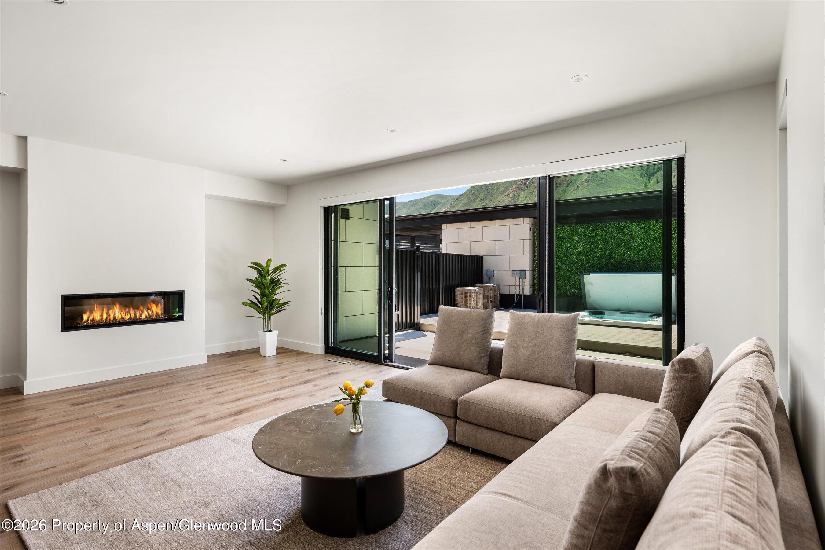 337 Stott's Mill Road Basalt, CO 81621 - Photo 4 of 25 Electric Fireplace