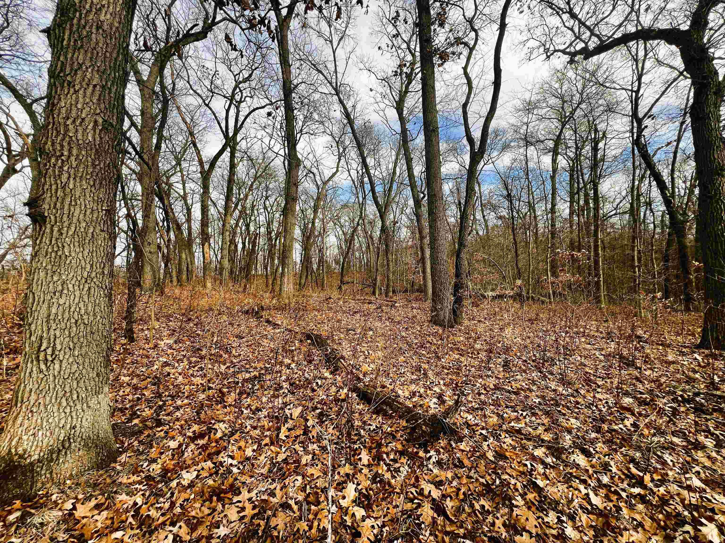 200 West Rensselaer, IN 47978 - Photo 15 of 22