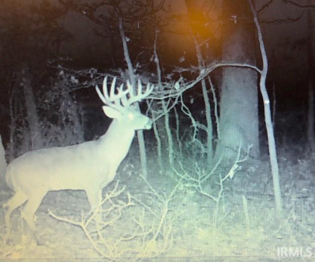 200 West Rensselaer, IN 47978 - Photo 19 of 22