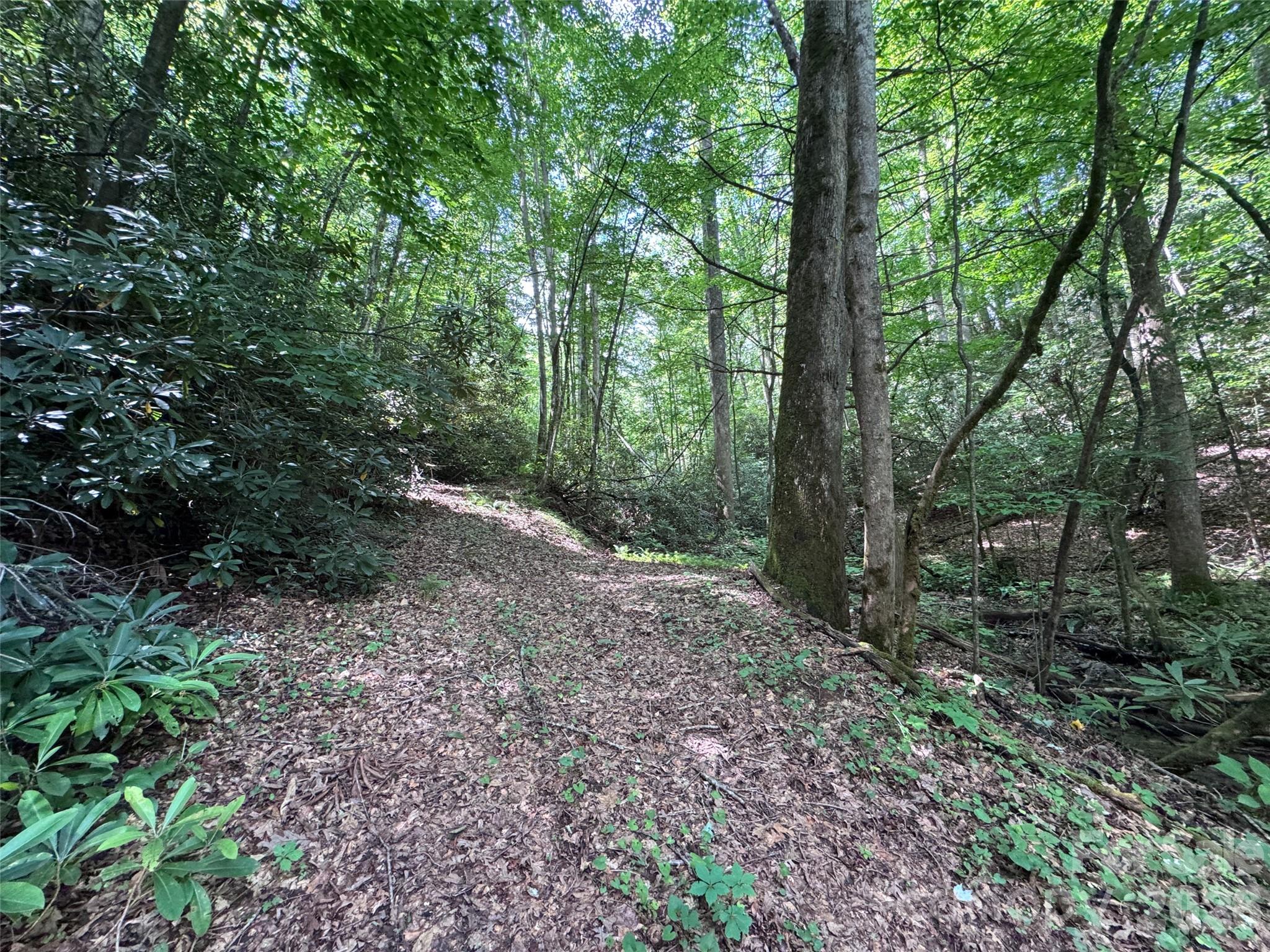 10 A Reserve Road Pisgah Forest, NC 28768 - Photo 17 of 33