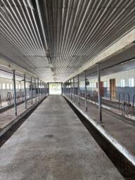 1631 Lakewood Road Madison, ME 04950 - Photo 12 of 49 5. Barn Interior