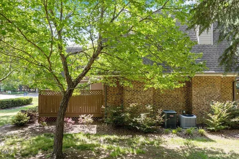 a view of a backyard with plants and large trees