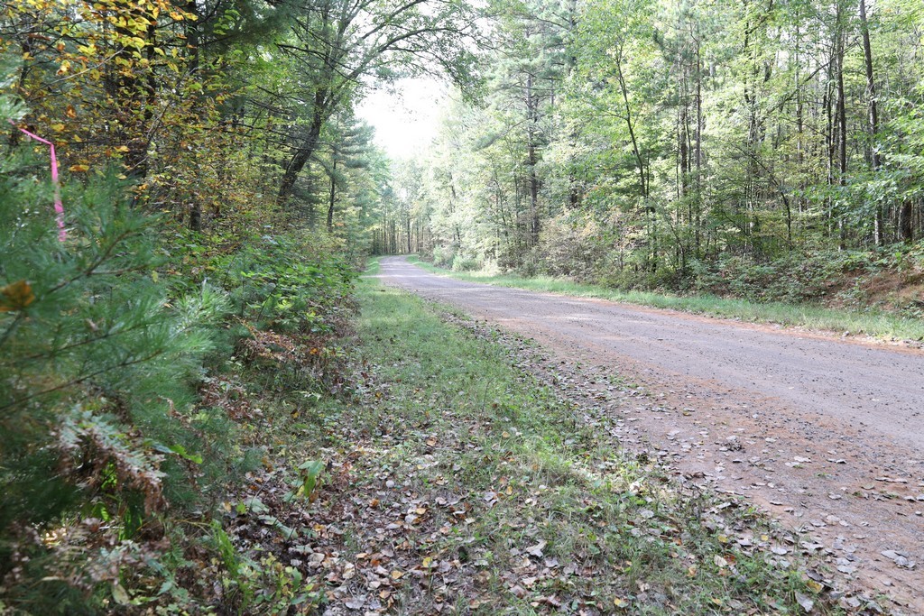 Xxx Normans Landing Road Webster, WI 54893 - Photo 9 of 16