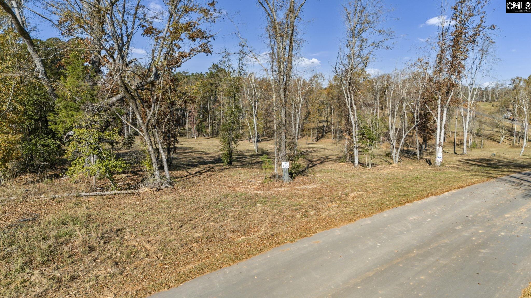Navigator Trail Prosperity, SC 29127 - Photo 3 of 28