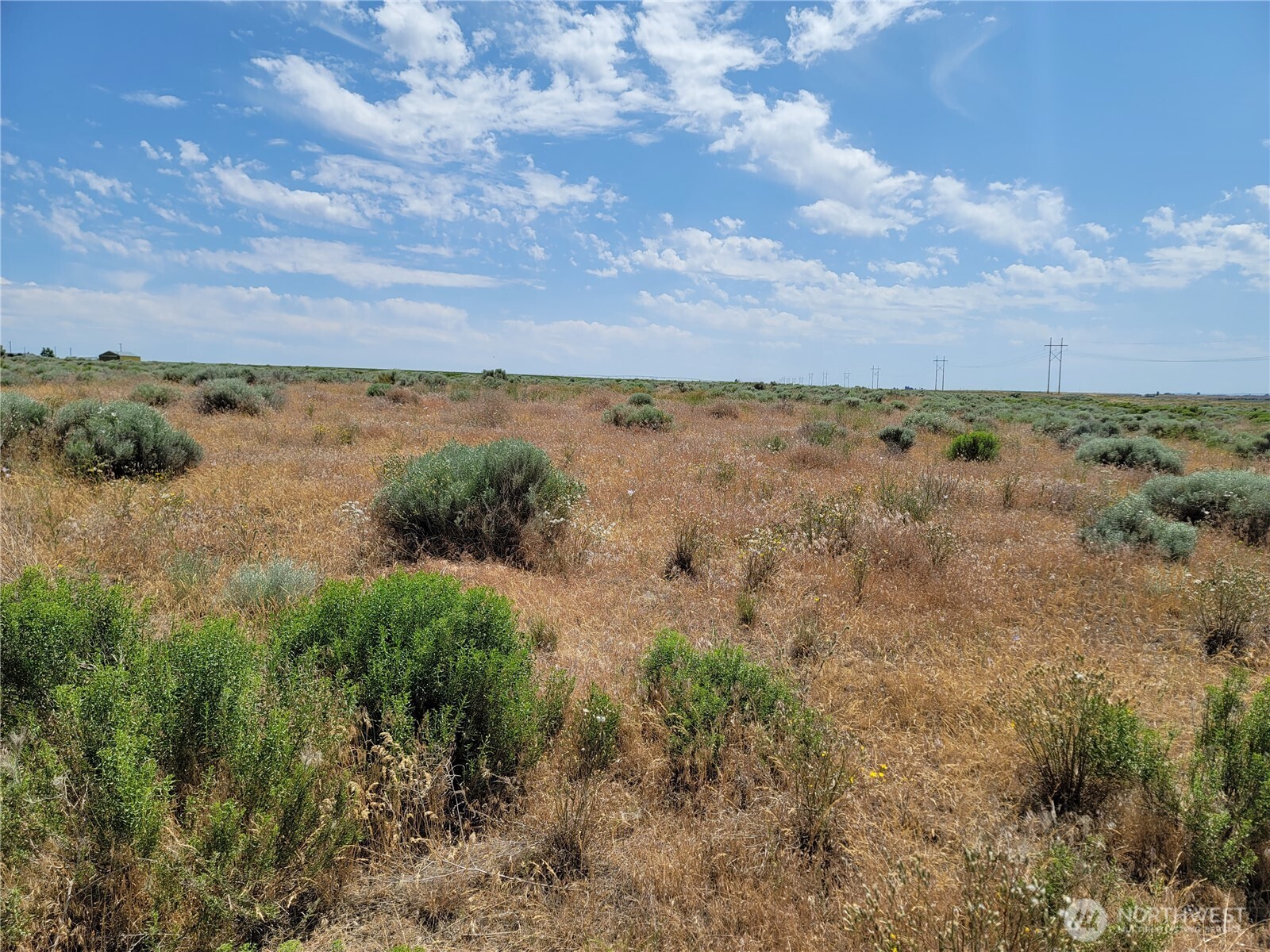 0 Parcel Avenue South Warden, WA 98857 - Photo 2 of 3 a view of a bunch of trees and houses