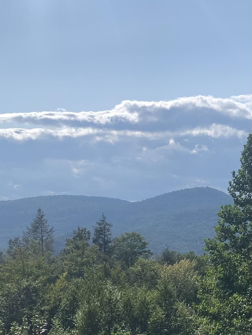 0 Pine Acres Road Townshend, VT 05353 - Photo 6 of 7 Gallery Image 6