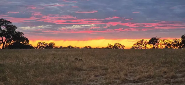 $375,000 | 10471 Mariposa Avenue, Jackson, CA 95642