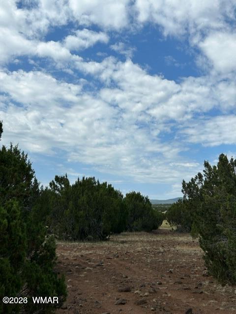 N3109 Rd Vernon Az 85940 Road Vernon, AZ 85940 - Photo 17 of 17