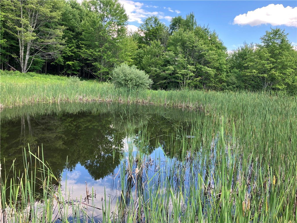 427 Rorick Hollow Road Erin, NY 14861 - Photo 41 of 47