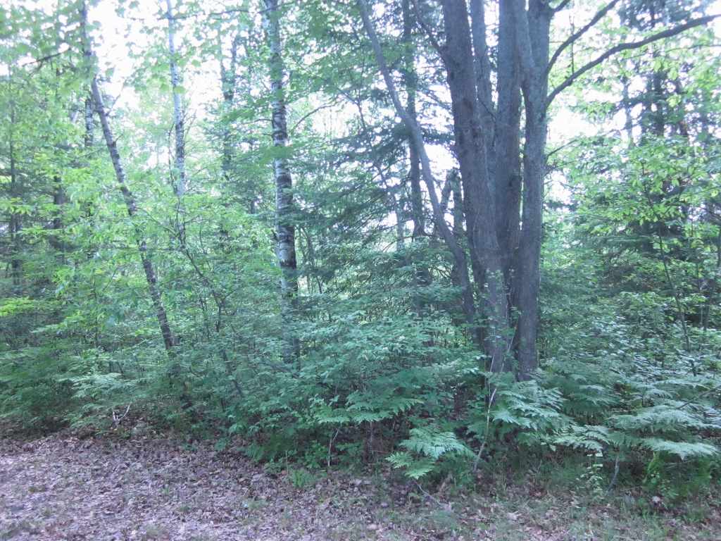 5117 Sunset Trail Road Northeast Kalkaska, MI 49646 - Photo 33 of 35 1829406-32.JPG