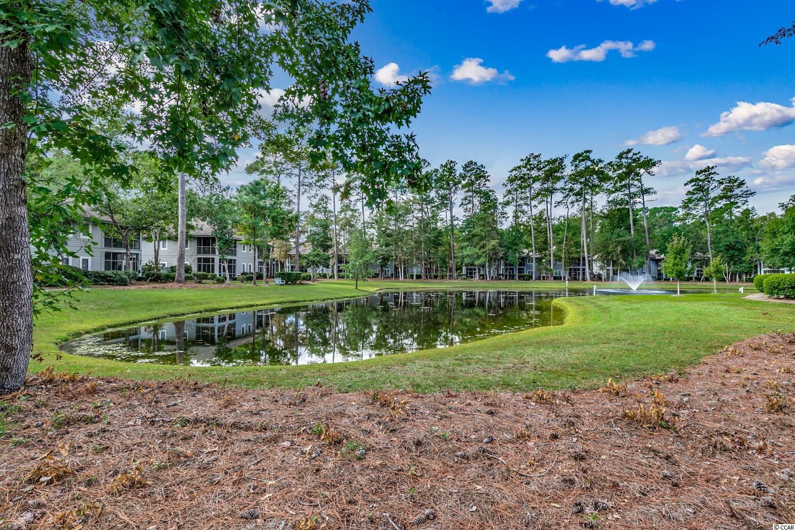 1208 Pine Valley Road North Myrtle Beach, SC 29582 - Photo 30 of 40 Gallery Image 30