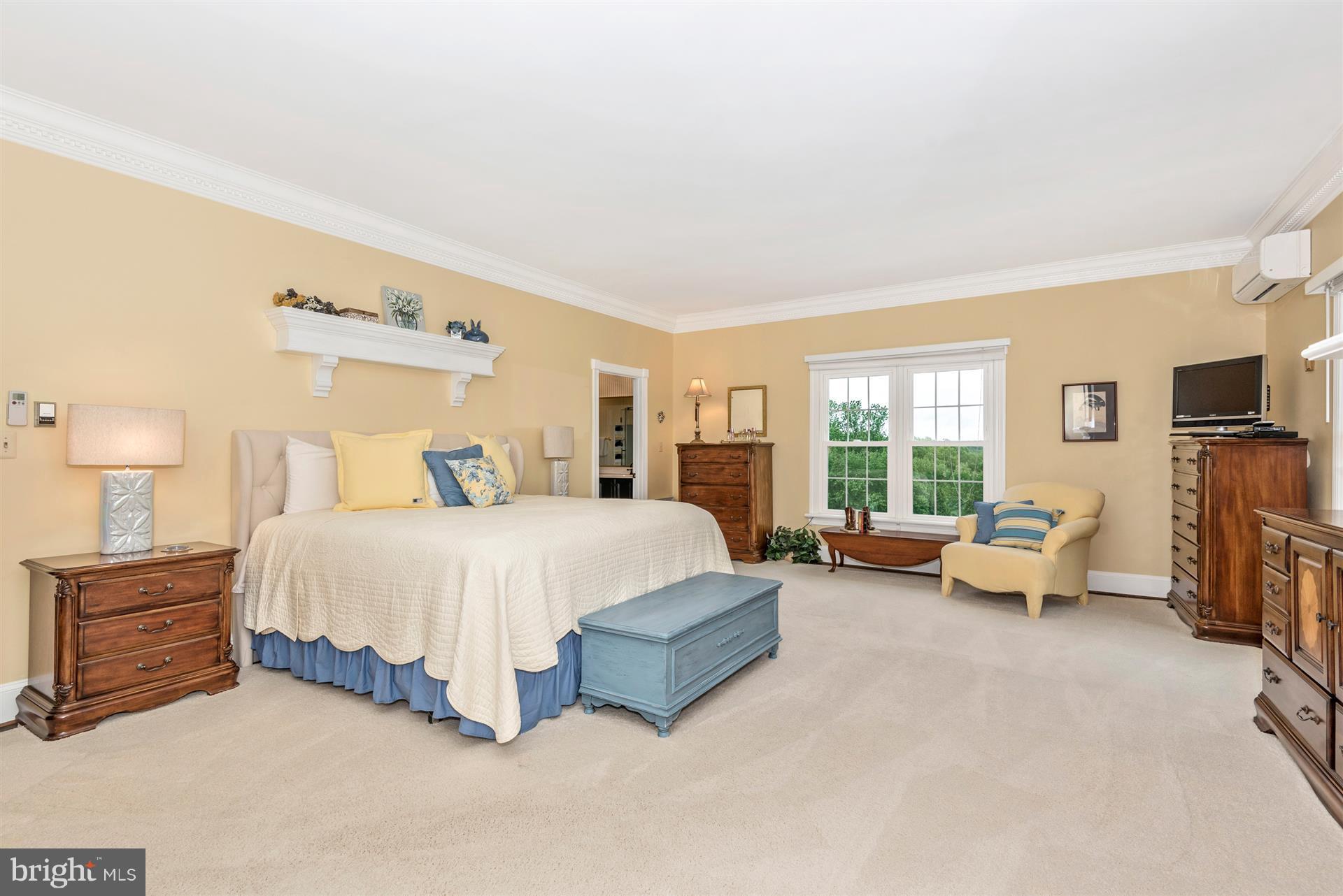 2311 Gillis Road Mount Airy, MD 21771 - Photo 19 of 30 Owner's Suite offers incredible countryside views!