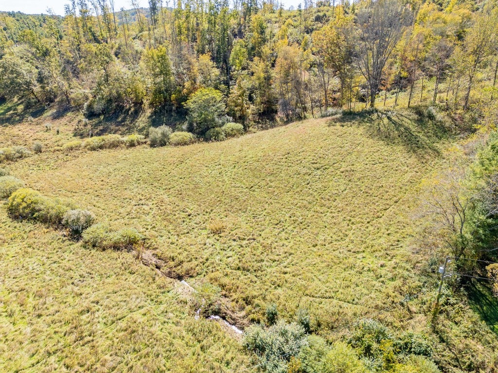 4-acres Carsonville Road Independence, VA 24348 - Photo 33 of 42 Gallery Image 33