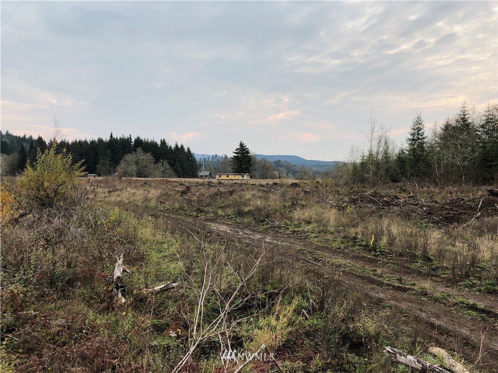 220 Katula Road Chehalis, WA 98532 - Photo 5 of 6