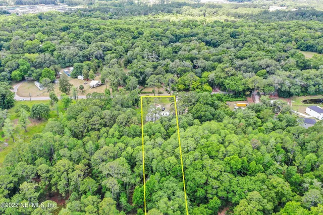 a view of a forest with a street