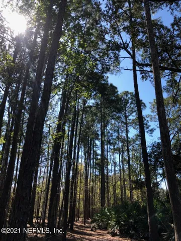 a view of outdoor space with fountain
