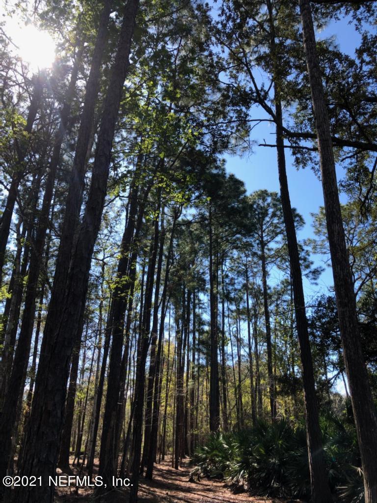 2850 Hilltop Road St. Augustine, FL 32086 - Photo 8 of 11 a view of outdoor space with fountain