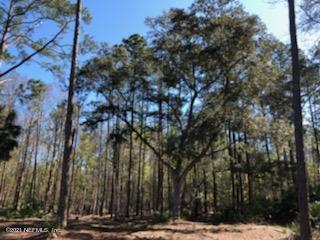 2850 Hilltop Road St. Augustine, FL 32086 - Photo 9 of 11 a view of road with large trees