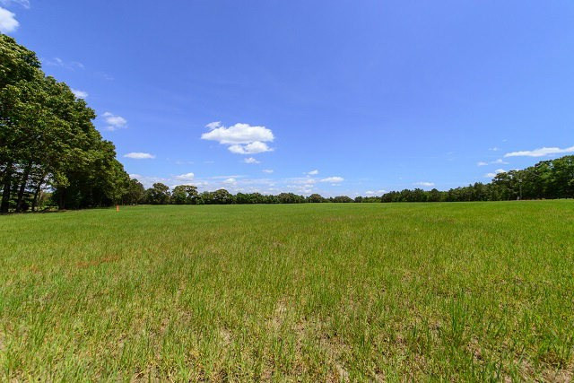 1280 Perron Garvin Road Wagener, SC 29164 - Photo 36 of 40