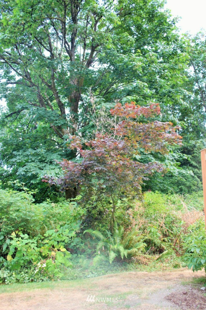 21616 9th Avenue Southeast, Unit C102 Bothell, WA 98021 - Photo 10 of 10