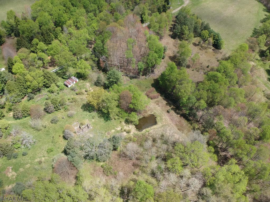 141 Tire Road Strongstown, PA 15957 - Photo 45 of 48