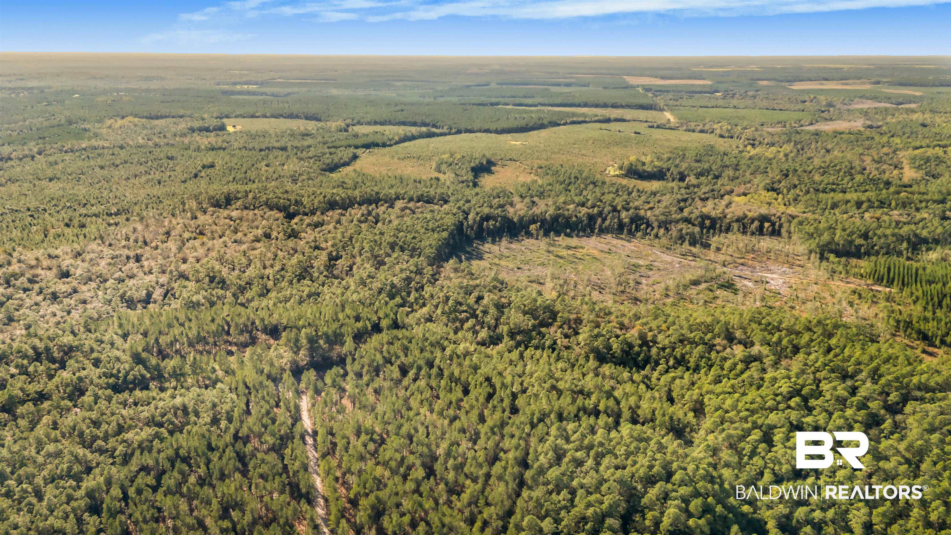 0 County Road 112 Robertsdale, AL 36567 - Photo 21 of 33 Birds eye view of property