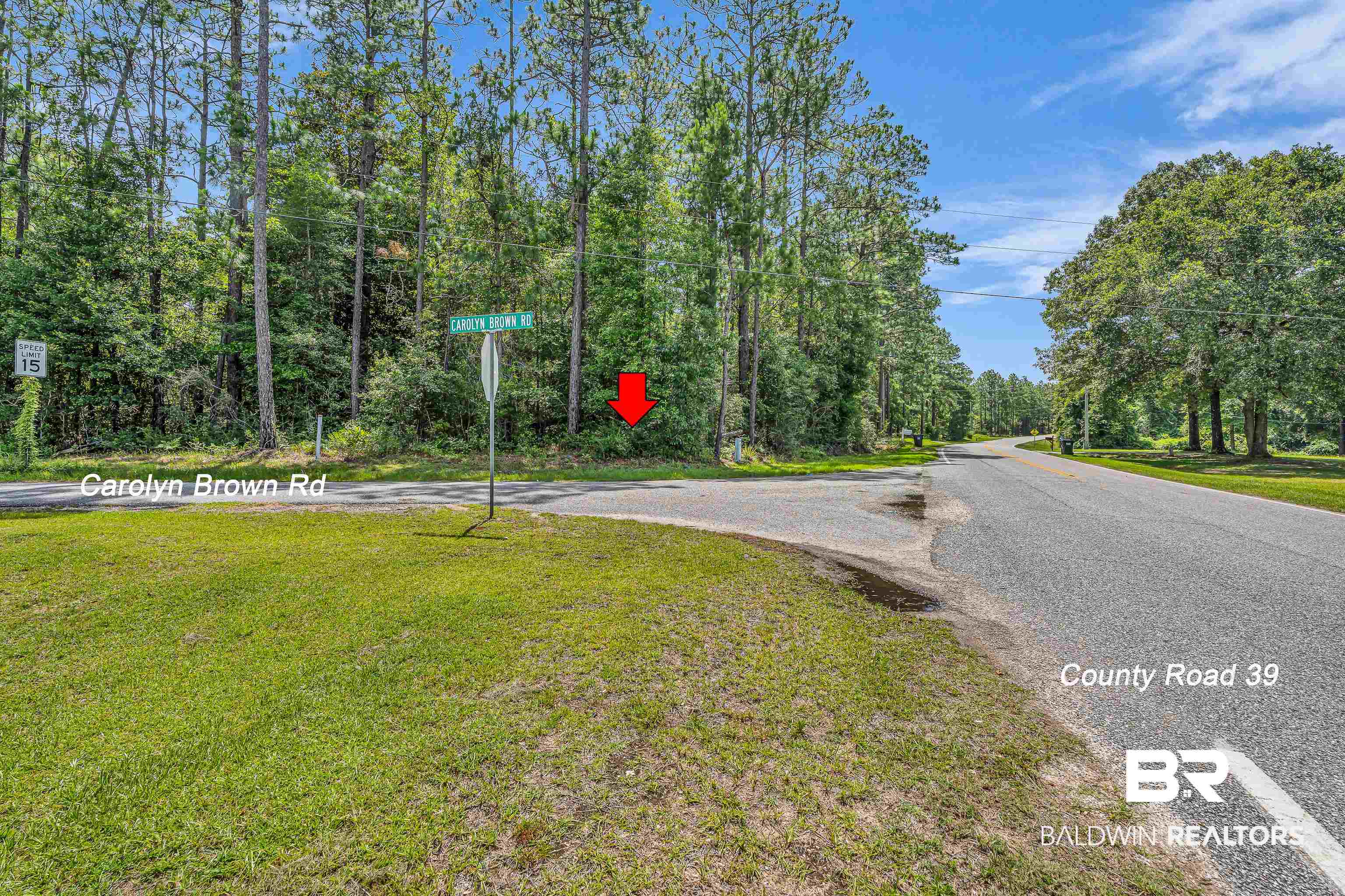 39 County Road 39 Stapleton, AL 36578 - Photo 6 of 16 View of asphalt street