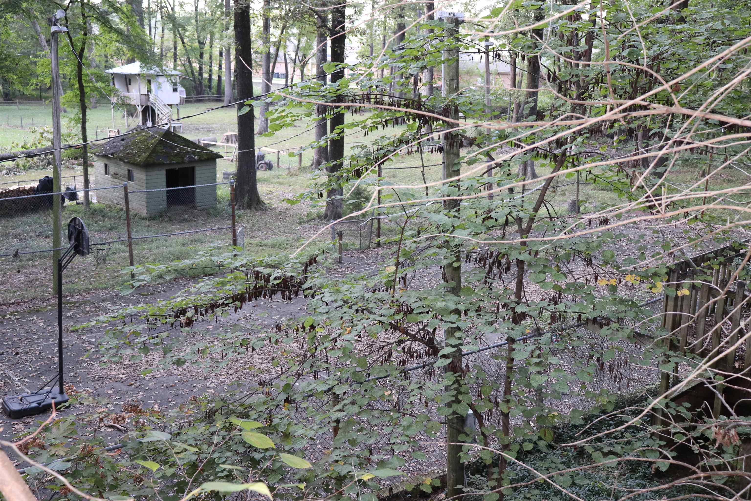 5952 Ivanhoe Road Bartlett, TN 38134 - Photo 20 of 23