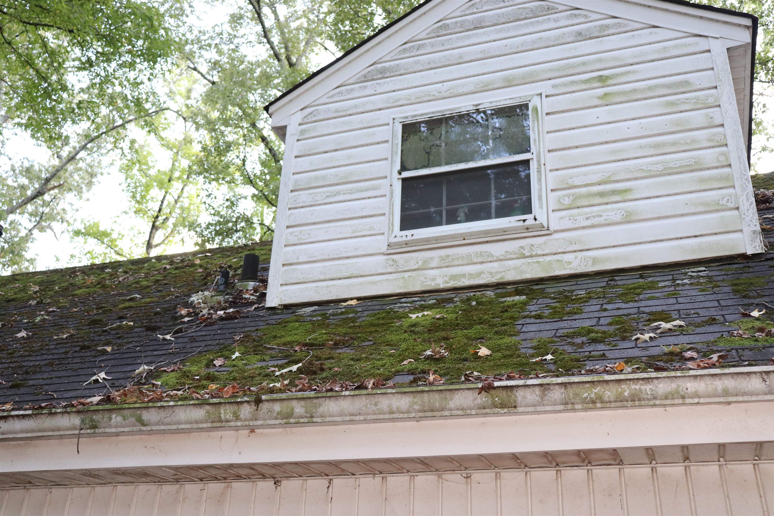 5952 Ivanhoe Road Bartlett, TN 38134 - Photo 23 of 23 a front view of a house with garden
